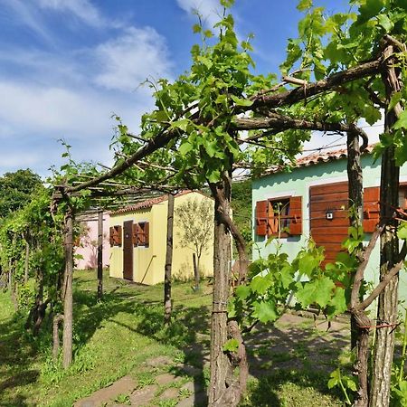 Glamping Green Istria Tiny Houses Truske Luaran gambar