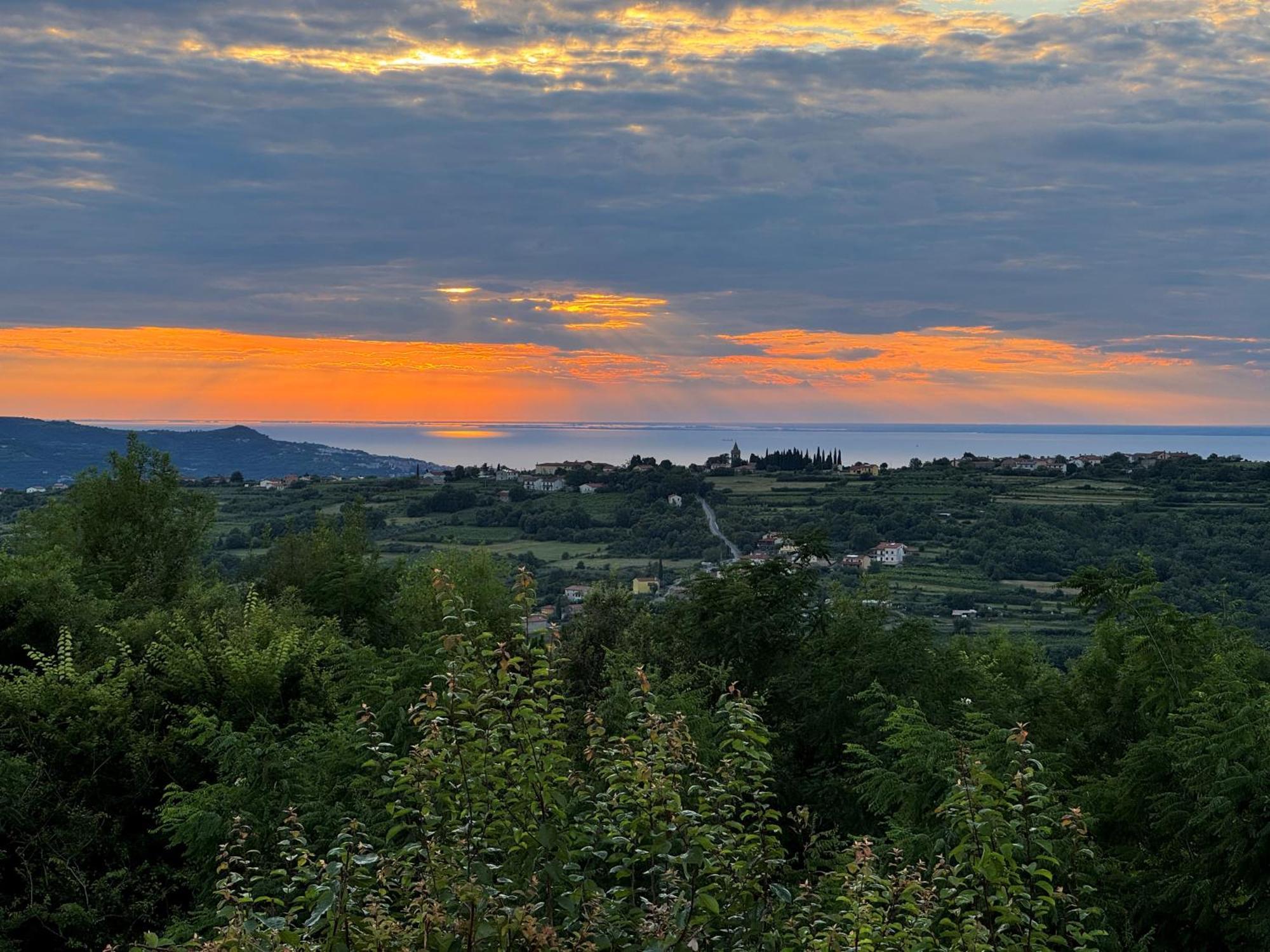Glamping Green Istria Tiny Houses Truske Luaran gambar