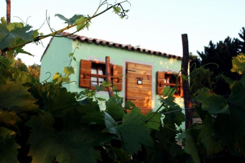 Glamping Green Istria Tiny Houses Truske Luaran gambar