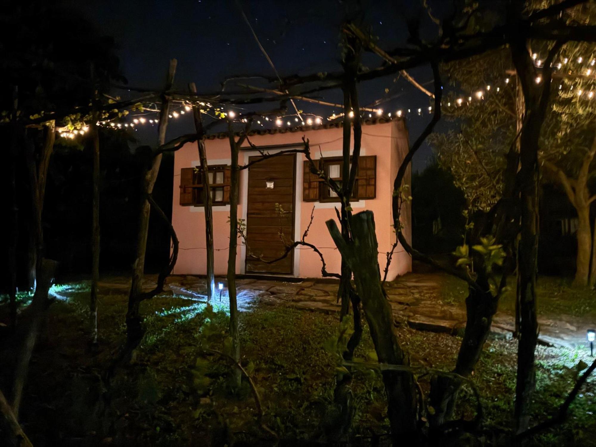 Glamping Green Istria Tiny Houses Truske Luaran gambar