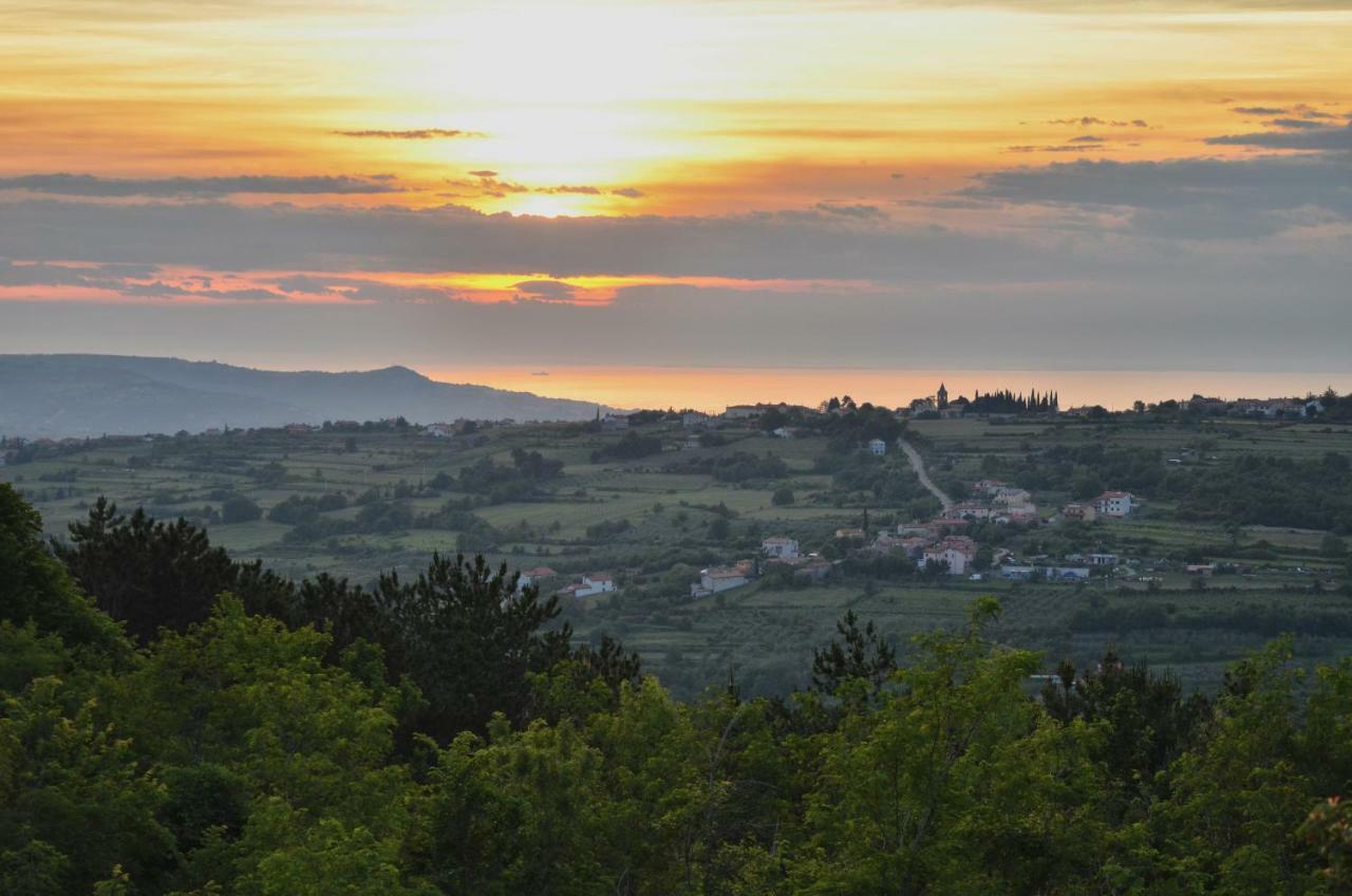 Glamping Green Istria Tiny Houses Truske Luaran gambar
